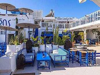 卧龙苍天陨落熊猫位置图大全，卧龙苍天陨落啮铁兽位置在哪？